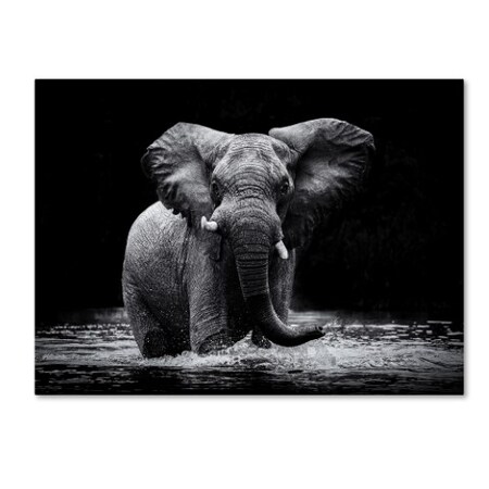 Trademark Fine Art Gorazd Golob 'Power 1' Canvas Art, 18x24 1X00545-C1824GG